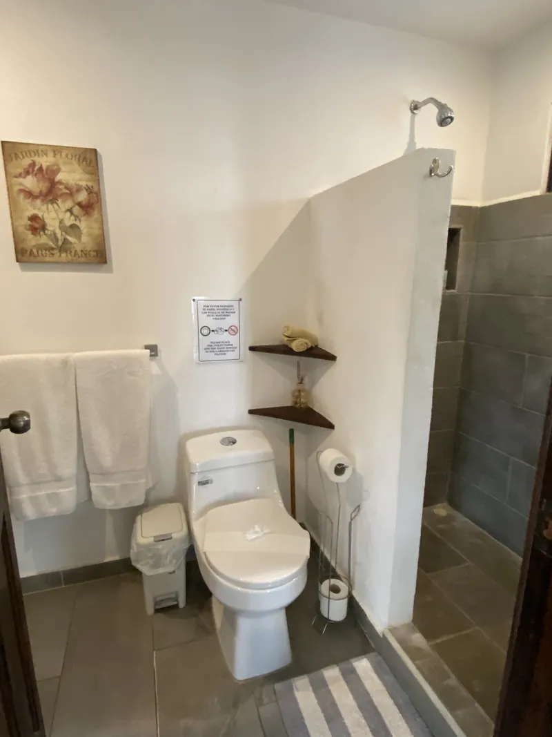 The walk-in tiled shower and toilet in the bathroom at Villa Alegria