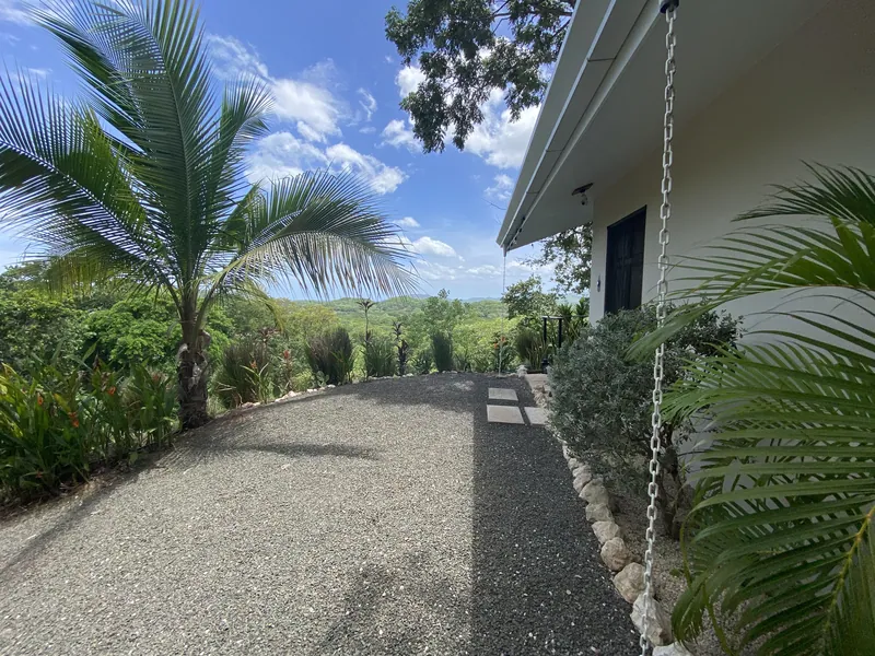 The palm-lined side garden at Villa Lunax, green hills rolling to the horizon